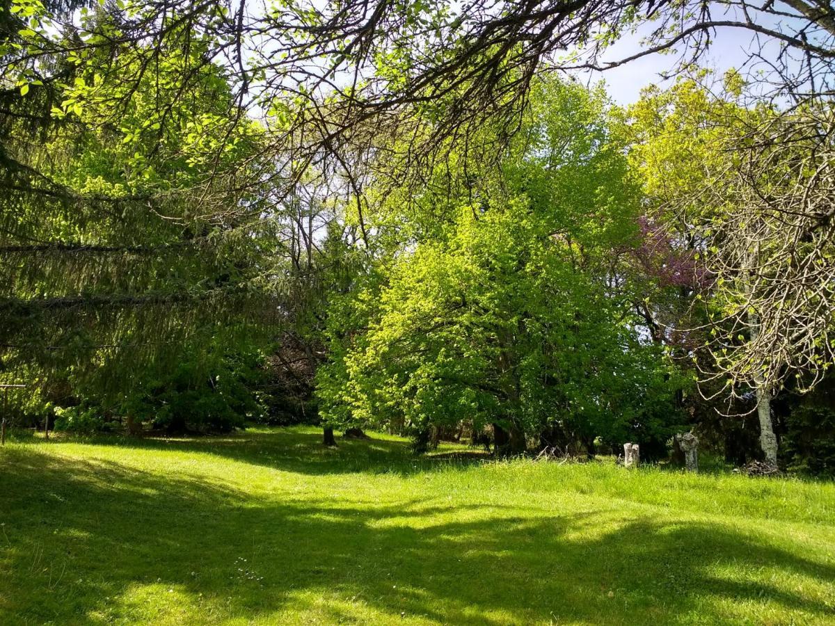 Pyrenees Vue Gite - Vues Fantastique, Parking Gratuit Sur Place & Piscine Saint Gaudens Dış mekan fotoğraf